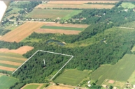 View of Property looking Southwest. Property Line and House Location indicated.